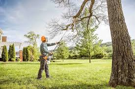 Best Lawn Pest Prevention  in La Mirada, CA