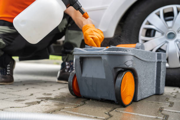 Reliable La Mirada, CA Tree Removal Solutions