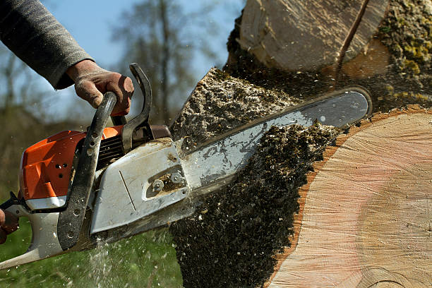 Mulching Services in La Mirada, CA